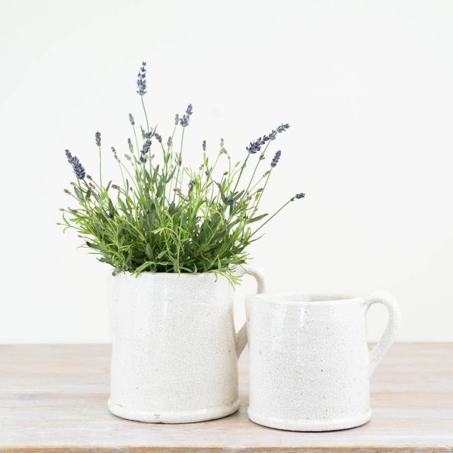 Jolee Jug, 22cm