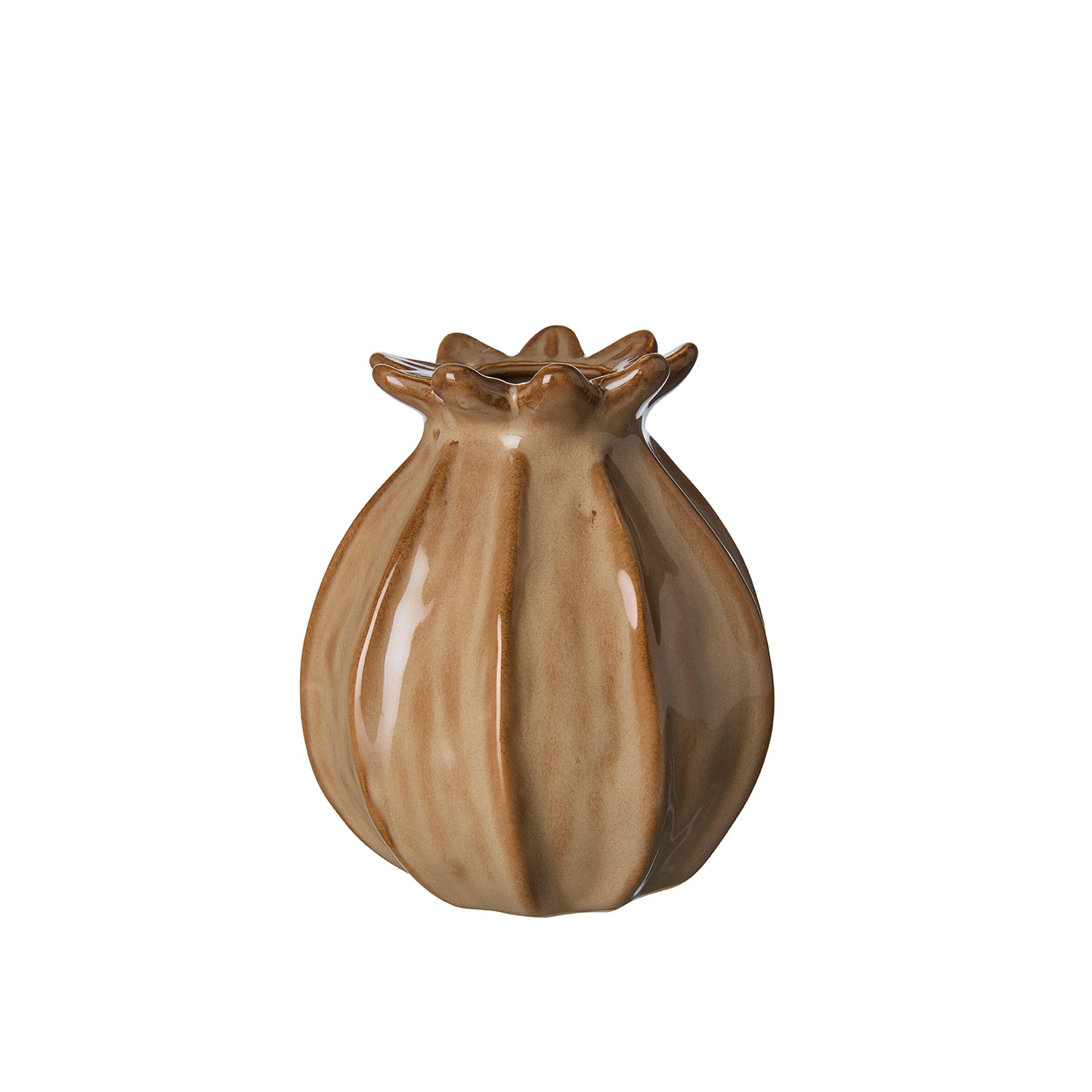 Brown Poppy Vase