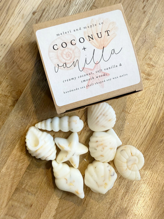 Seashell Shaped Soy Wax Melts / Coastal, Beach, Summer: Coconut & Vanilla