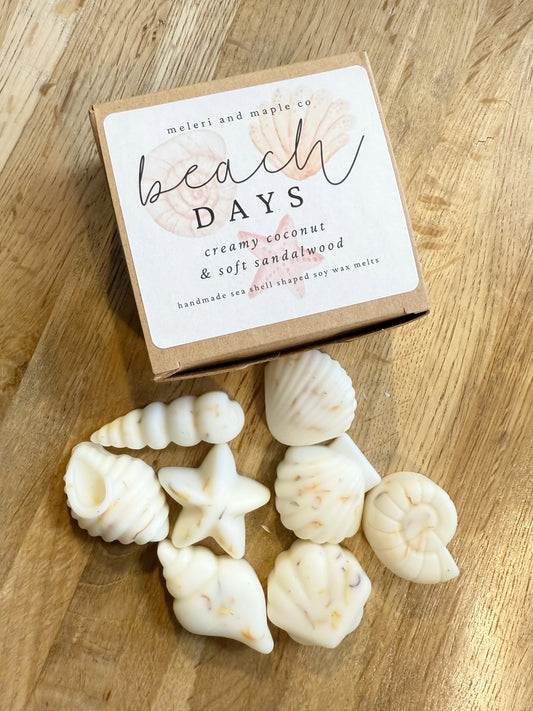 Seashell Shaped Soy Wax Melts / Coastal, Beach, Summer: Beach Days
