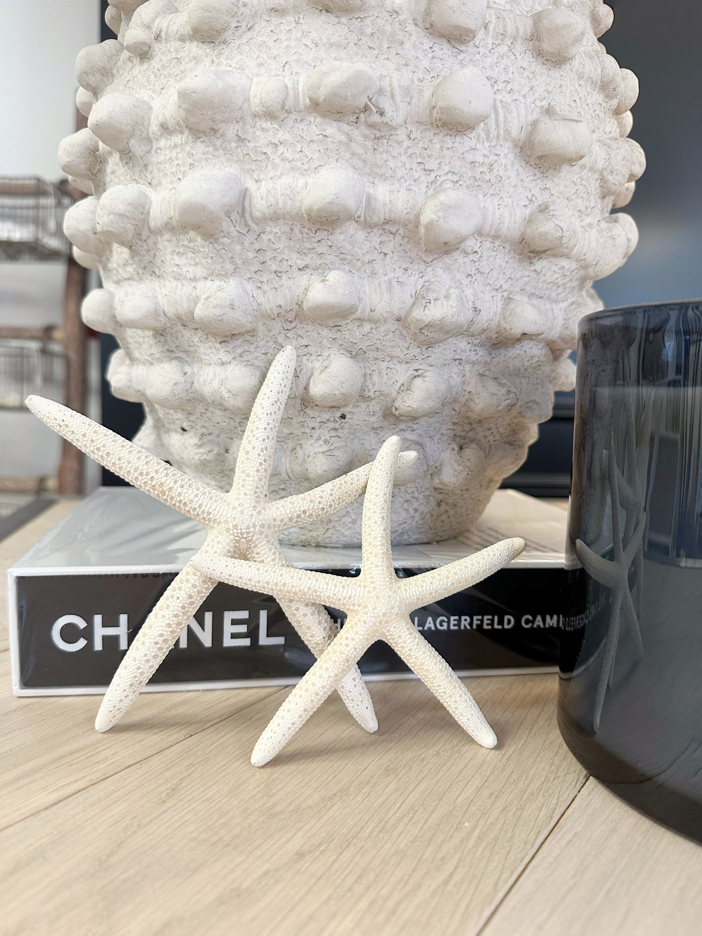 Starfish Decoration