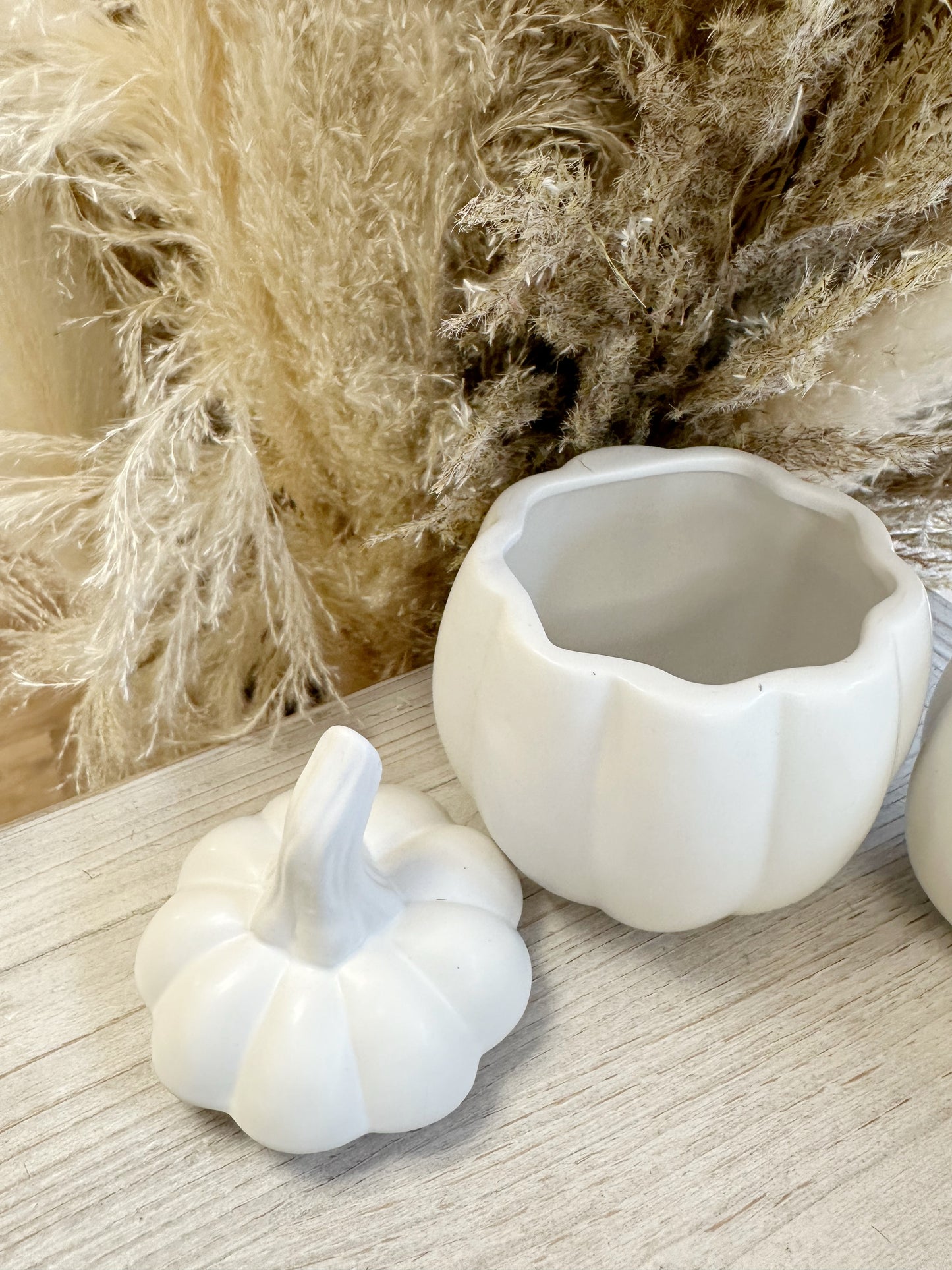 White Ceramic Pumpkin Jars