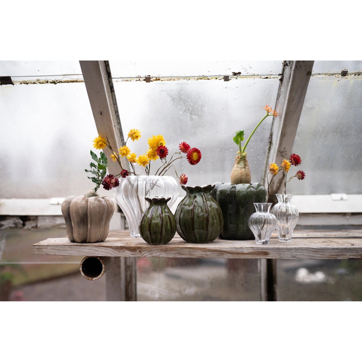 Brown Poppy Vase