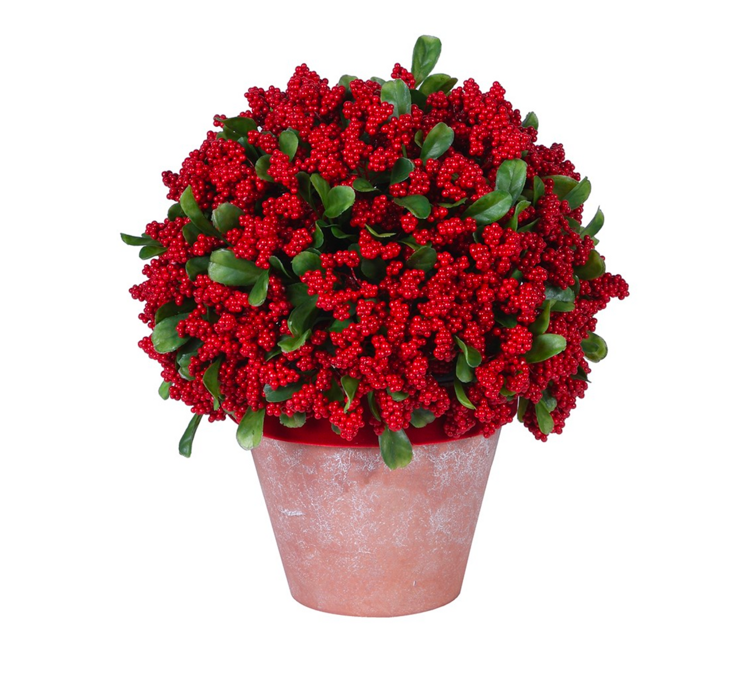 Red Berry Potted Plant