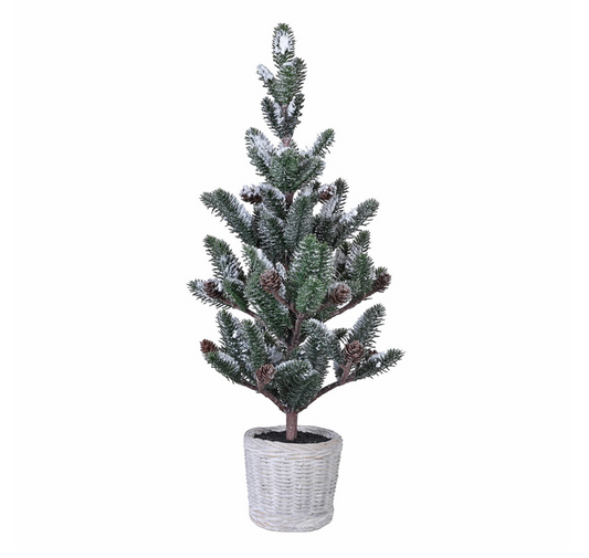 Snowy Potted Pine Tree