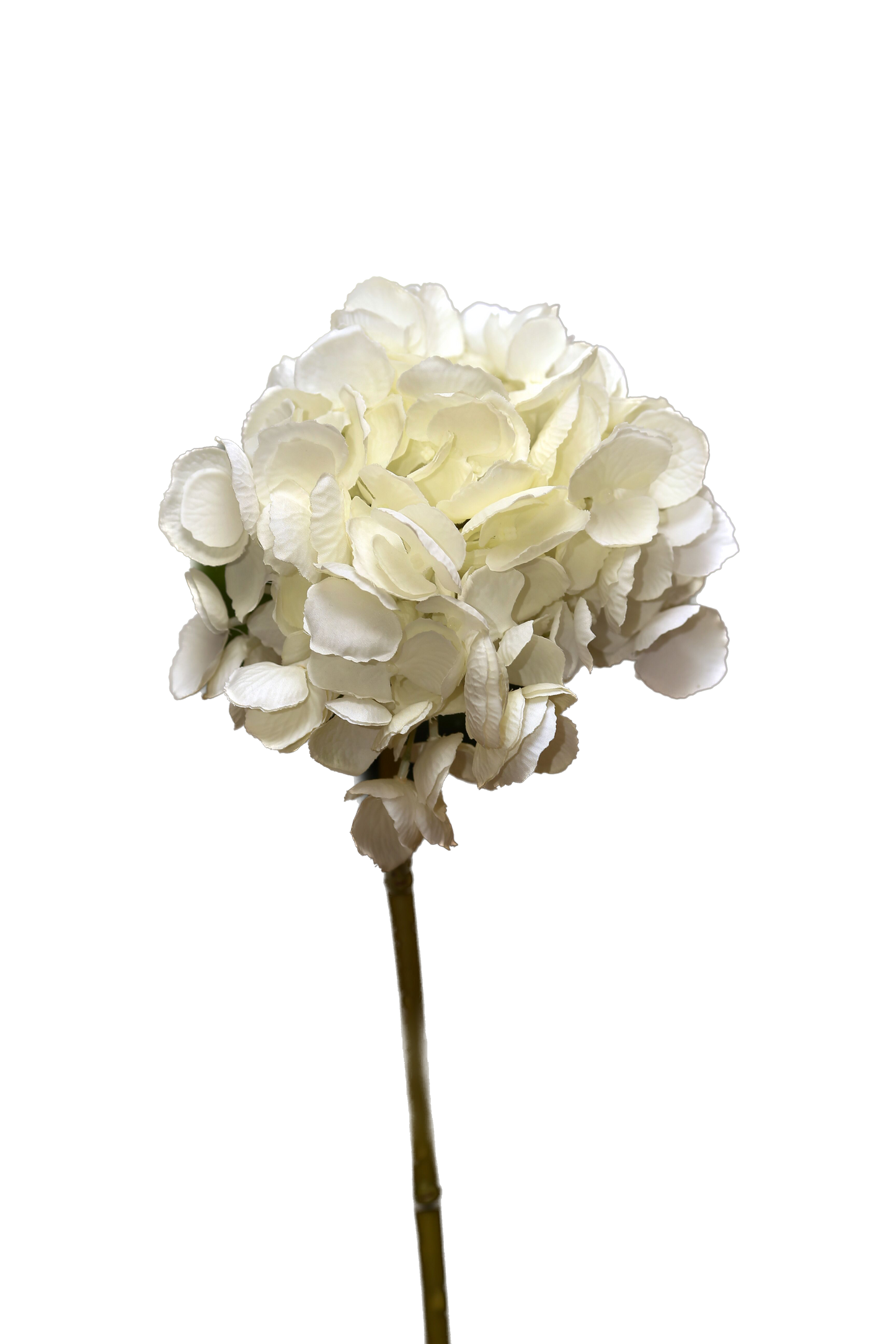 White Hydrangea Short Stem