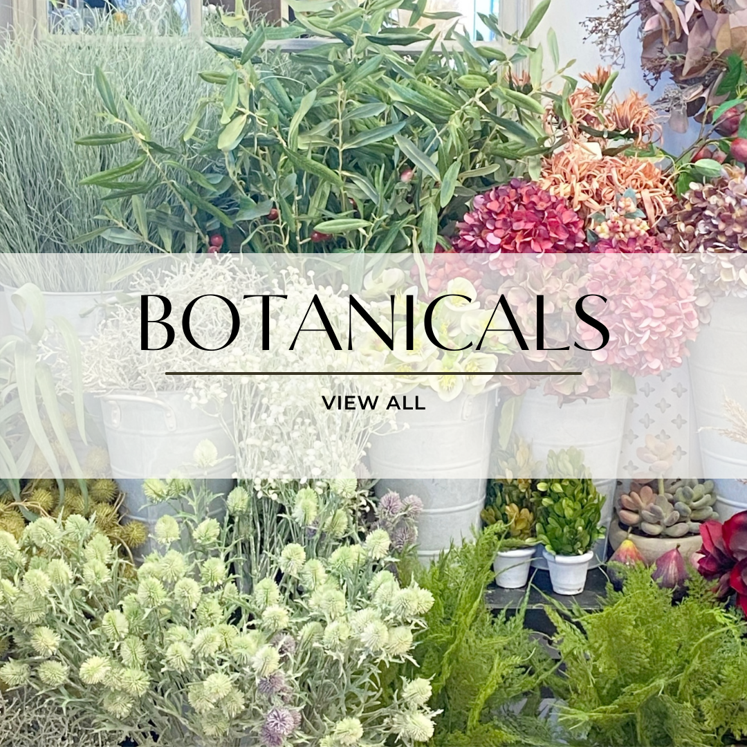 Botanicals