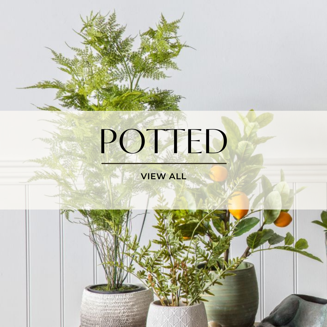 Potted