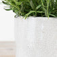 Jolee Jug, 22cm