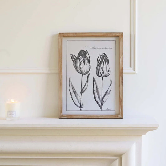 Tulip Duo Art Framed