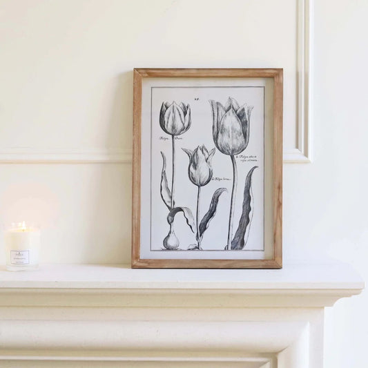 Tulip Trio Art Framed