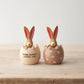 Jasper Rabbit Bunny Love