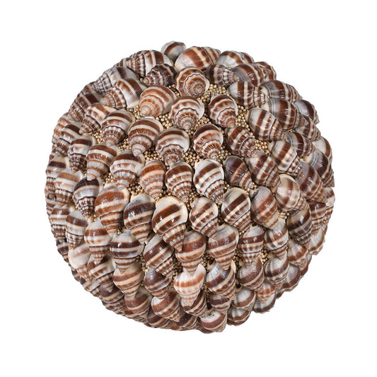Natural Shell Sphere