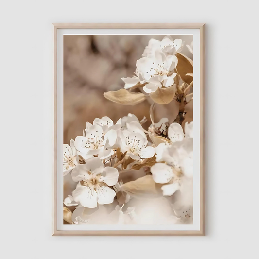 Hydrangea Print A4