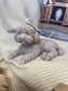 Poodle Dog Candle