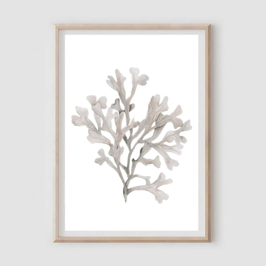 Grey Coral Print A4