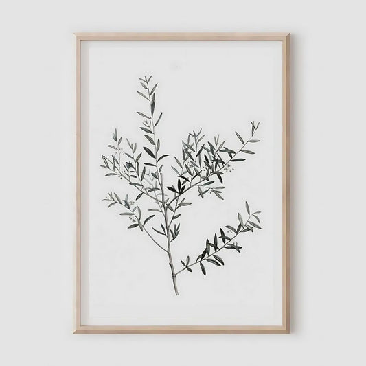 Eucalyptus Print A4