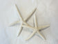 Starfish Decoration