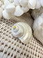 Turbo Silvermouth Shell