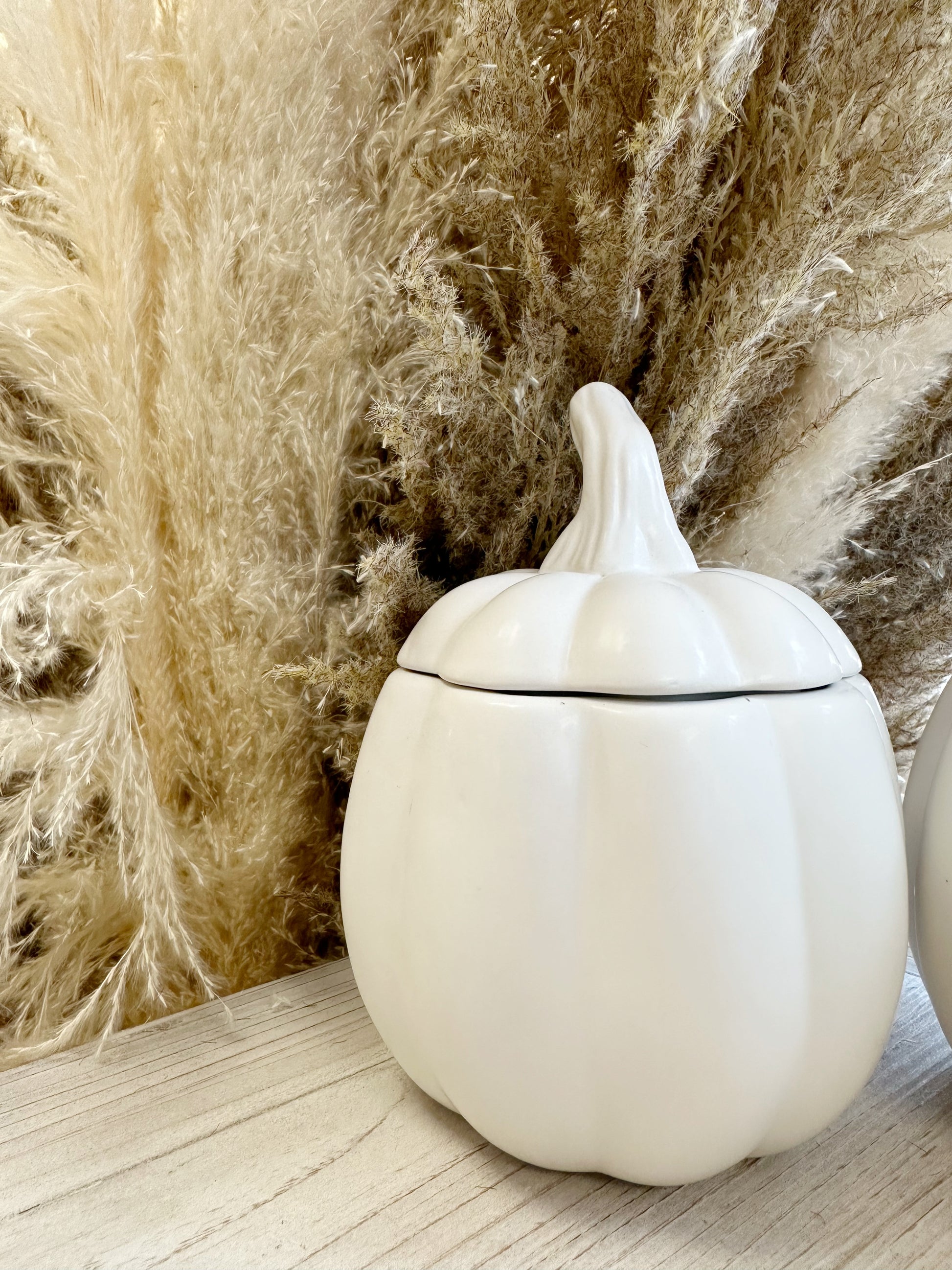 White Ceramic Pumpkin Jars