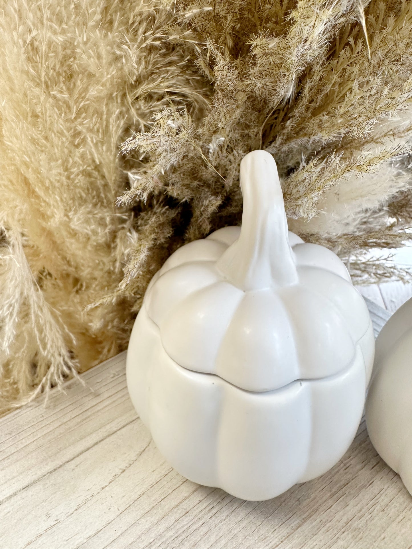 White Ceramic Pumpkin Jars