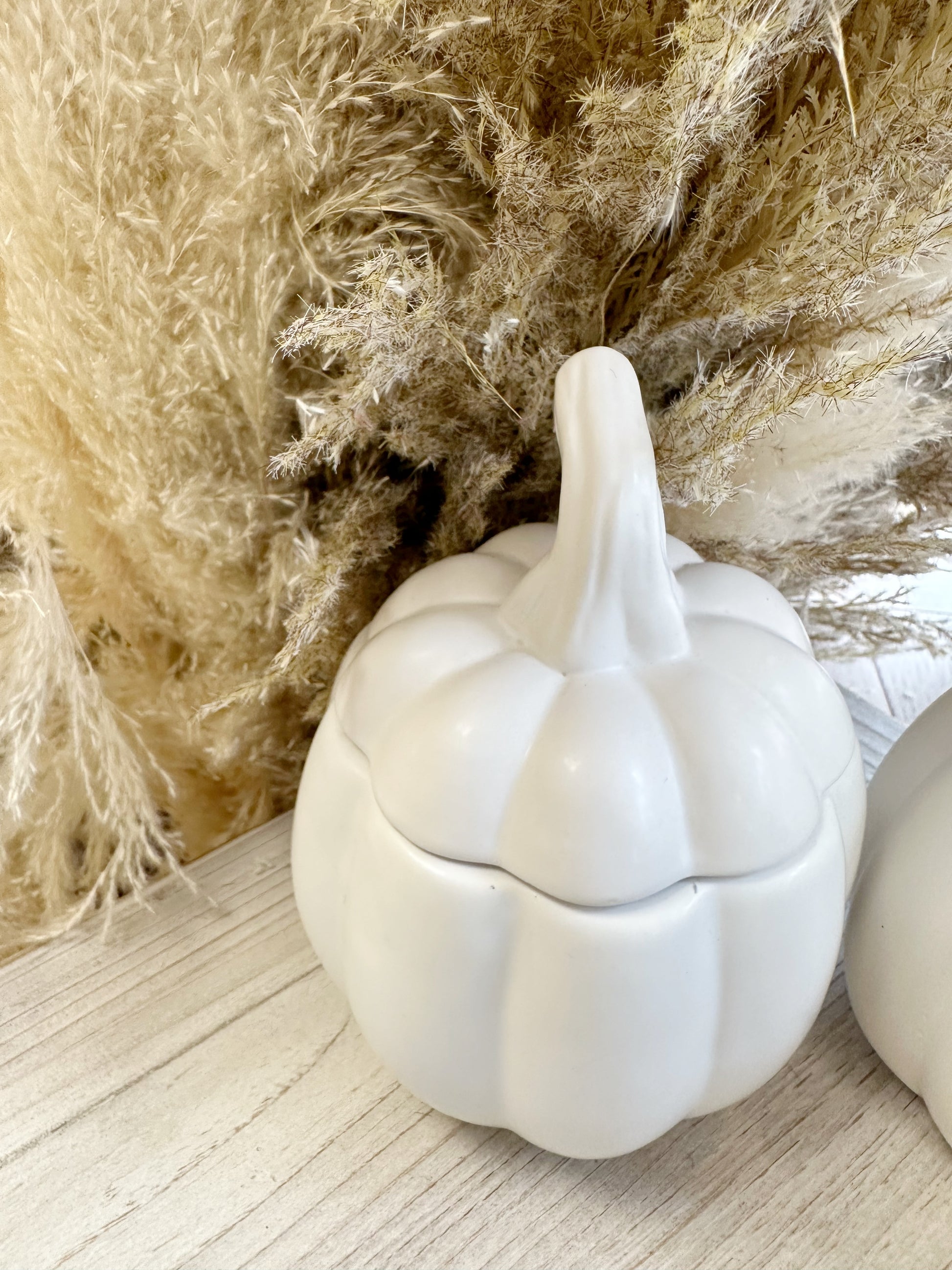 White Ceramic Pumpkin Jars