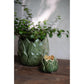 Green Nea Leaf Candle Holder