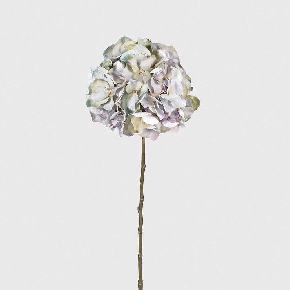 Pale Lavender Hydrangea Stem