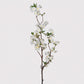 White Branched Cherry Blossom