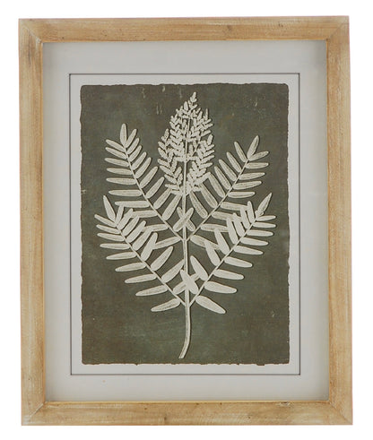 Framed Botanical Prints 