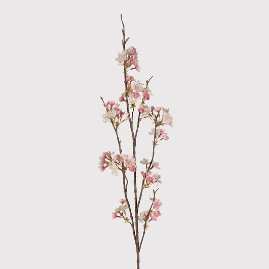 Pink Cherry Blossom Stem
