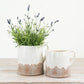 Ido Cream Jug, 19cm