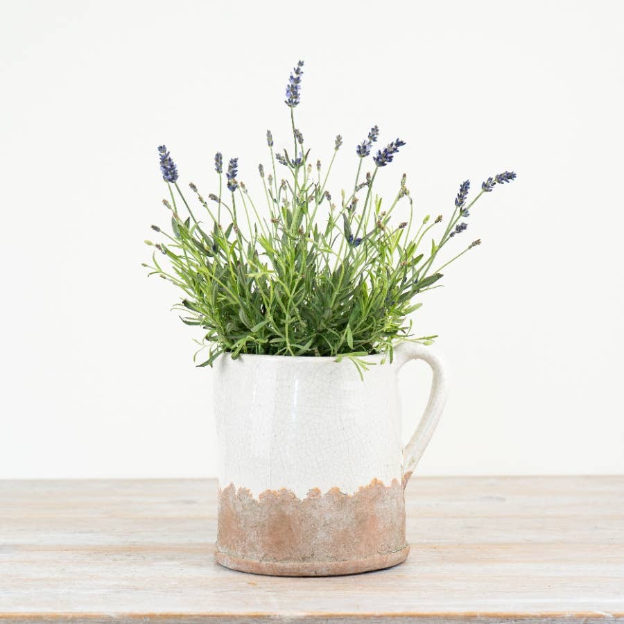 Ido Cream Jug, 22cm