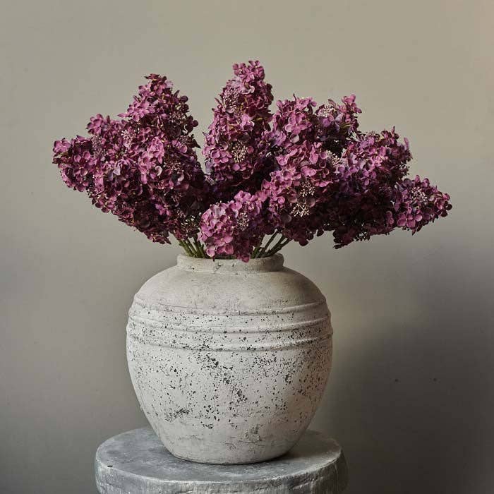 Purple Hydrangea Paniculata Stem