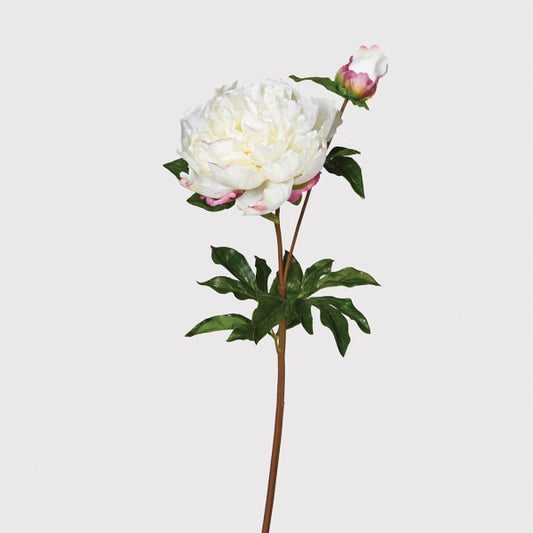 Real Feel White Peony Stem 