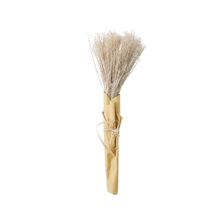 Fluffy Reed Bunch