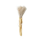 Fluffy Reed Bunch