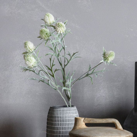 Green Thistle